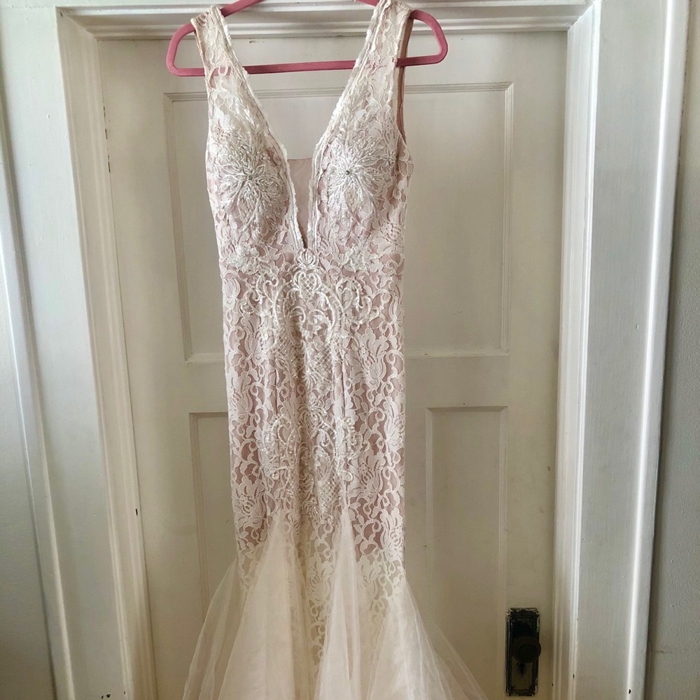 Wedding or Formal Dress Beaded with Blush Lining - Picture 3 of 6